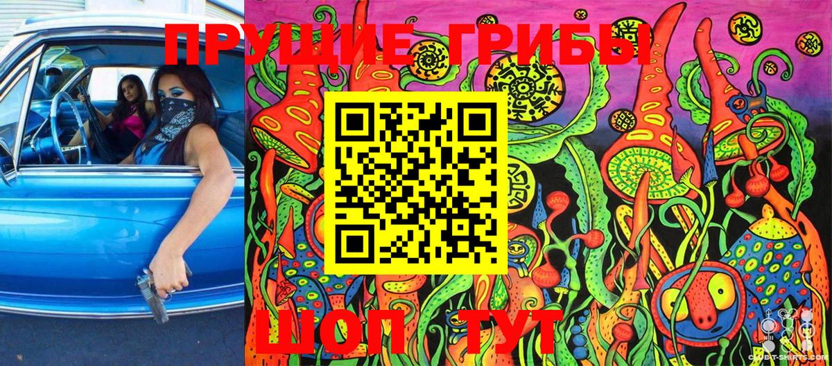 Псилоцибиновые грибы MAGIC MUSHROOMS  Вход с VPN  Рязань 